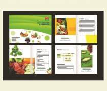 产品样本设计制作 图文设计驱动热卖促销的关键